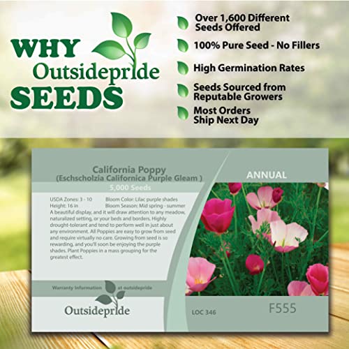 Outsidepride Poppy California Purple Gleam Wild Flower Seeds - 5000 Seeds
