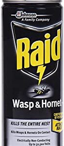 Raid Wasp and Hornet Killer (17.5 Ounce (Pack of 1))