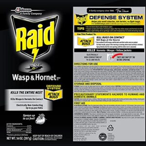 Raid Wasp and Hornet Killer (17.5 Ounce (Pack of 1))