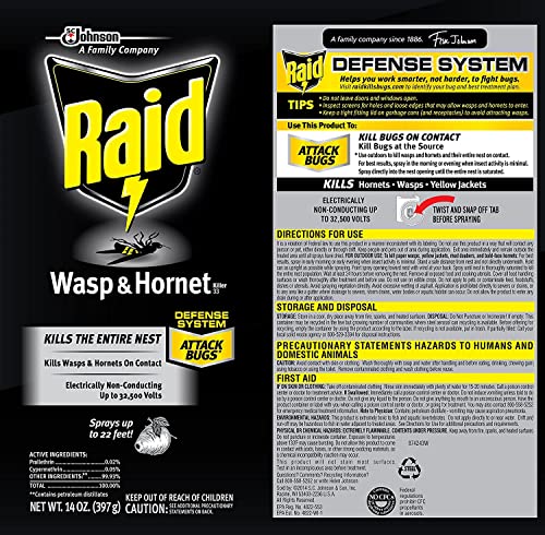 Raid Wasp and Hornet Killer (17.5 Ounce (Pack of 1))