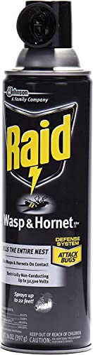 Raid Wasp and Hornet Killer (17.5 Ounce (Pack of 1))