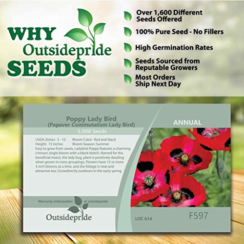 Outsidepride Papaver Commutatum Lady Bird Red Corn Poppy Wild Flowers - 5000 Seeds