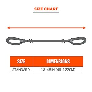 Lanyard with Buckle End, Easily Attaches to Hard Hat, Tools, or Small Valuables, Weight Capacity 2lbs, Ergodyne Squids 3150,Lime