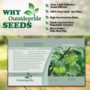 Outsidepride Perennial Cape Gooseberry Physalis Peruviana Goldenberry Fruit Plants - 1000 Seeds