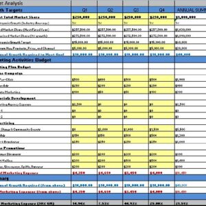 Marketing Plan Template for Driveway Sealing Seal Coating Service Business MS Word/Excel