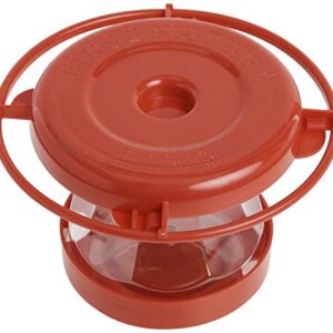 First Nature 993091-546 16 oz. Hummingbird Flower Feeder , Red