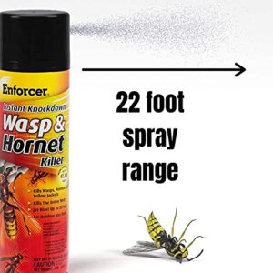 12 Pack Enforcer EWHIK16 Instant Knockdown Wasp and Hornet Killer Spray - 16oz Ready-to-Use Aerosol