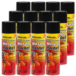 12 Pack Enforcer EWHIK16 Instant Knockdown Wasp and Hornet Killer Spray - 16oz Ready-to-Use Aerosol