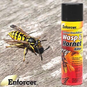 12 Pack Enforcer EWHIK16 Instant Knockdown Wasp and Hornet Killer Spray - 16oz Ready-to-Use Aerosol