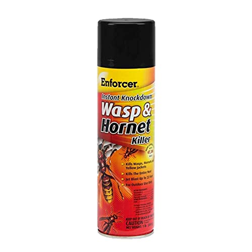 12 Pack Enforcer EWHIK16 Instant Knockdown Wasp and Hornet Killer Spray - 16oz Ready-to-Use Aerosol