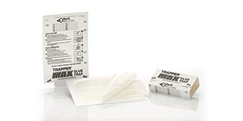 Trapper Max Free Mouse Glue Boards-12 Boards