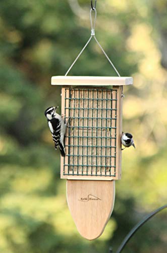 Kettle Moraine Cedar Double Suet Cake Tail Prop Suet Bird Feeder with Hanging Cable