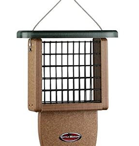 Kettle Moraine Recycled Plastic Single Suet Cake Tail Prop Suet Bird Feeder with Hanging Cable