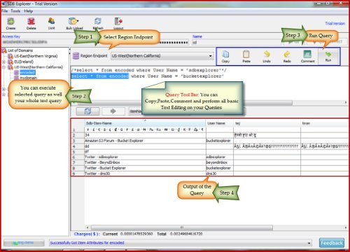 SDB Explorer Software for Amazon SimpleDB - With DVD