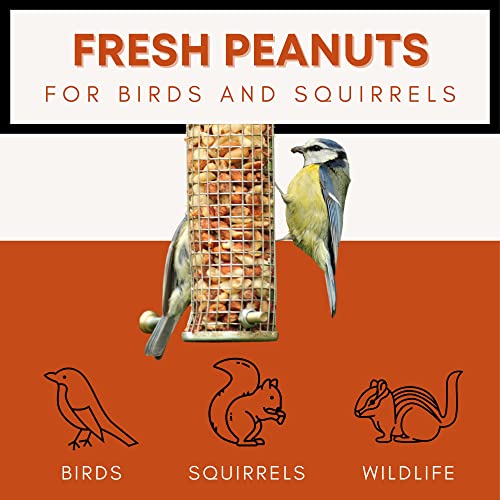 prdseed Fresh Shelled Peanuts for Birds & Squirrels - Raw Wildlife Peanuts, No Mess Bird Seed, No Waste Bird Seed for Wild Birds & Backyard Squirrels (10lbs)