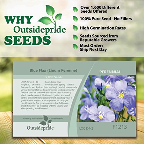 Outsidepride Perennial Linum Perenne Blue Flax Wild Flowers - 5000 Seeds