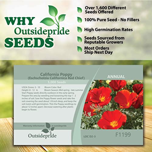Outsidepride California Poppy Eschscholzia Californica Red Chief Wild Flowers - 5000 Seeds