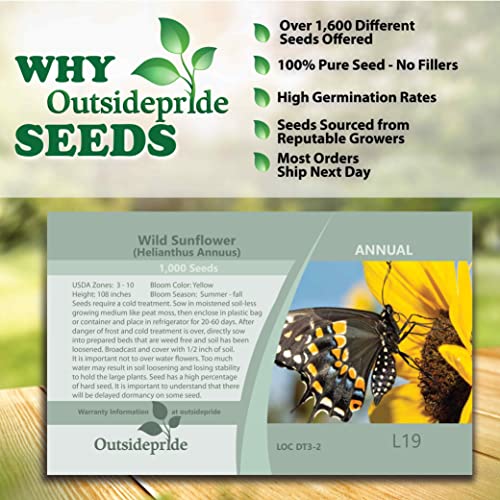 Outsidepride Helianthus Annuus Tall Wild Sunflower Plants - 1000 Seeds