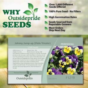 Outsidepride Viola Johnny Jump Up Wild Flowers & Ground Cover Plants - 5000 Seeds