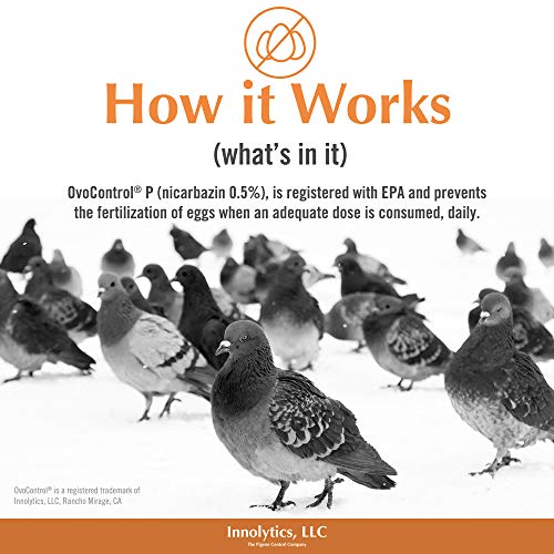 OVOCONTROL - Bird Pest Population and Birth Control Bait for Pigeons (30 lbs)