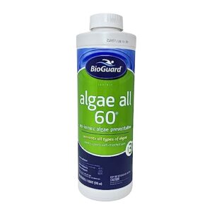 BioGuard Algae All 60 - Quart