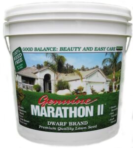 southland sod 4 marathon ii grass seed mix, 5 pounds