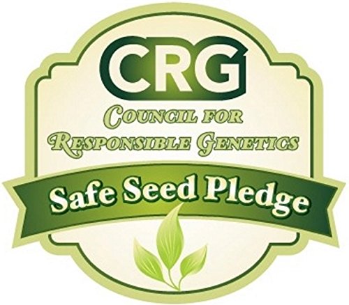 Earthcare Seeds Giant Poppy 250 Seeds (Papaver Somniferum Giganteum) Non GMO - Heirloom