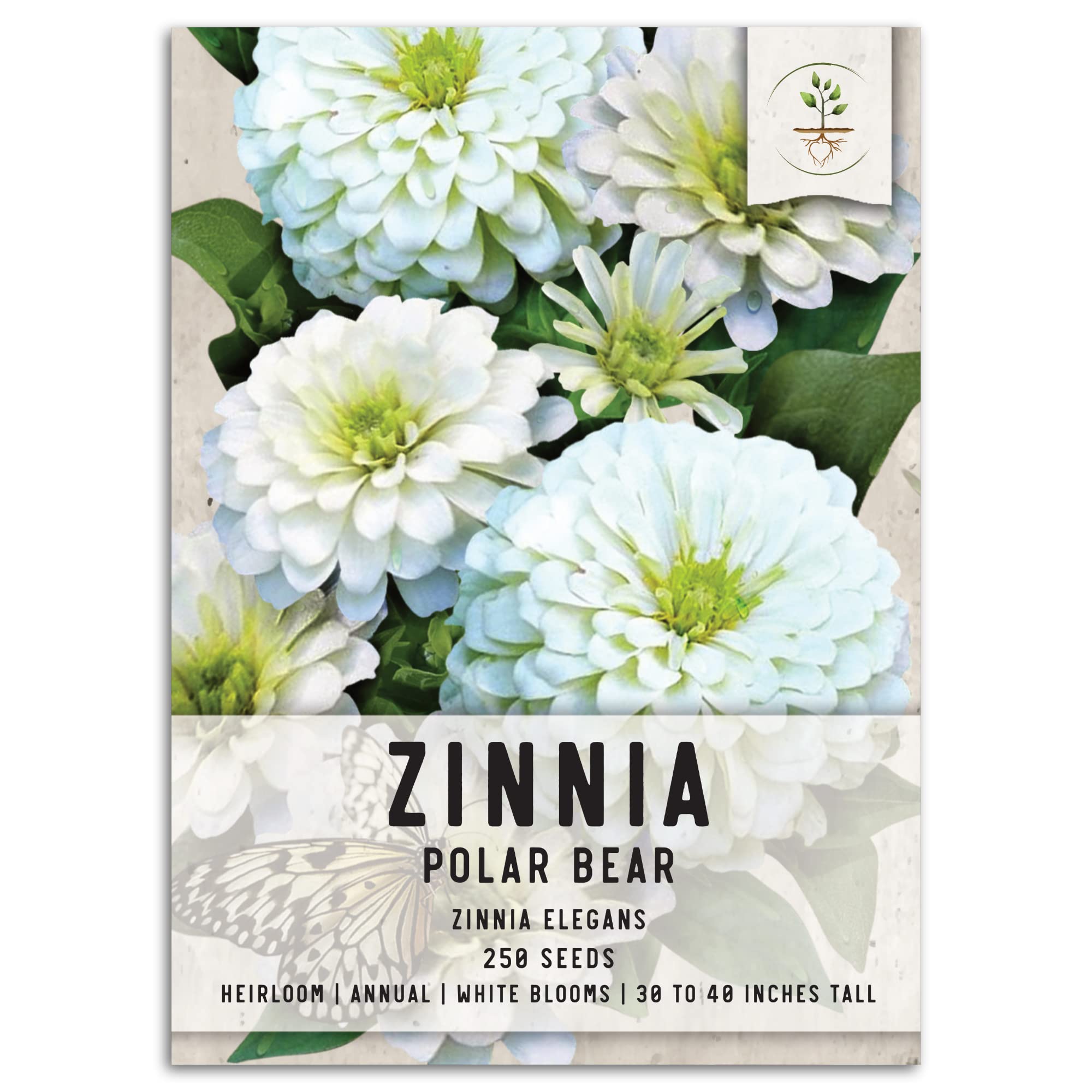 Seed Needs, Polar Bear White Zinnia Seeds - 250 Heirloom Flower Seeds for Planting Zinnia elegans - Attracts bumblebees, Honeybees & Butterflies (1 Pack)