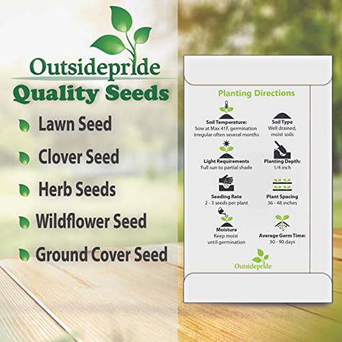 Outsidepride Burdock Arctium Lappa Nutritious Vegetable & Herb Garden Plant - 1000 Seeds