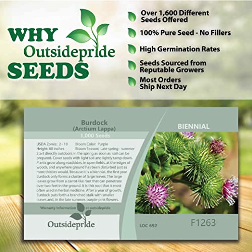 Outsidepride Burdock Arctium Lappa Nutritious Vegetable & Herb Garden Plant - 1000 Seeds