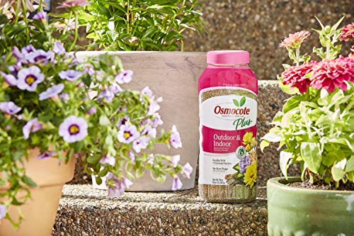 Osmocote Smart-Release Plant Food Plus Outdoor & Indoor, 2 lb.