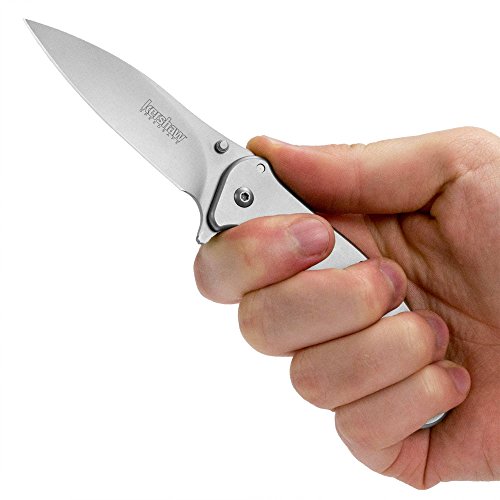 Kershaw Zing SS Pocketknife, 3" 8Cr13MoV Stainless Steel Blade, Assisted Thumb-Stud and Flipper Opening EDC