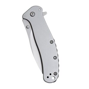 Kershaw Zing SS Pocketknife, 3" 8Cr13MoV Stainless Steel Blade, Assisted Thumb-Stud and Flipper Opening EDC