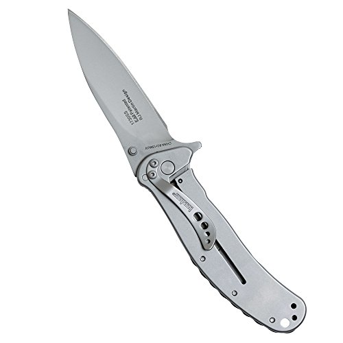 Kershaw Zing SS Pocketknife, 3" 8Cr13MoV Stainless Steel Blade, Assisted Thumb-Stud and Flipper Opening EDC