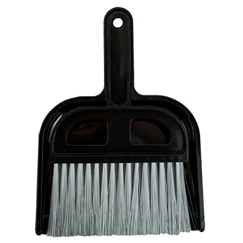 Detailer's Choice 4B320 Whisk Broom and Dust Pan