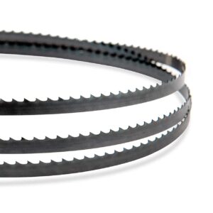 POWERTEC 62 Inch Bandsaw Blades for Woodworking, 3/8" x 10 TPI Band Saw Blades for POWERTEC, Ryobi, WEN, Grizzly, Skil and Sears Craftsman 9" Band Saw, 1 pack (13134)