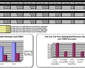 Business Plan for How To Start Automatic Car Wash Business MS Word/Excel