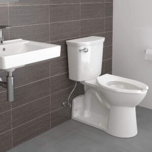 American Standard 5901100SS.020 Heavy-Duty Commercial Toilet Seat, White 2.13 in wide x 9.25 in tall x 17.88 in deep