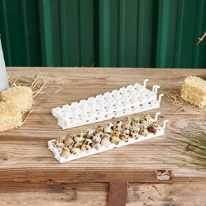 Farm Innovators 3400 Quail Rail Fits 120 Small Eggs, for 3400 Automatic Egg Turner, White (6 Pack)