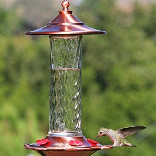 More Birds Glory Hummingbird Feeder, Glass Hummingbird Feeders for Outdoors, 5 Feeding Stations, 13 Ounces