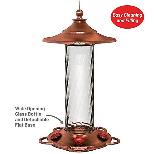 More Birds Glory Hummingbird Feeder, Glass Hummingbird Feeders for Outdoors, 5 Feeding Stations, 13 Ounces