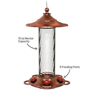 More Birds Glory Hummingbird Feeder, Glass Hummingbird Feeders for Outdoors, 5 Feeding Stations, 13 Ounces