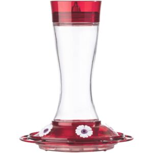 More Birds Bird Health+ Garnet Hummingbird Feeder, Glass Hummingbird Feeders for Outdoors, 5 Feeding Stations, 20 Ounces