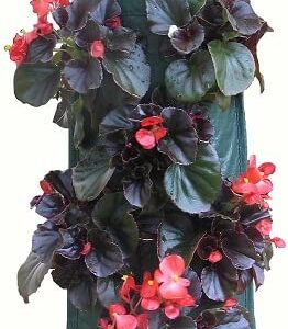 Nutley's Hanging Strawberry Growbag Planter (Pack of 2)