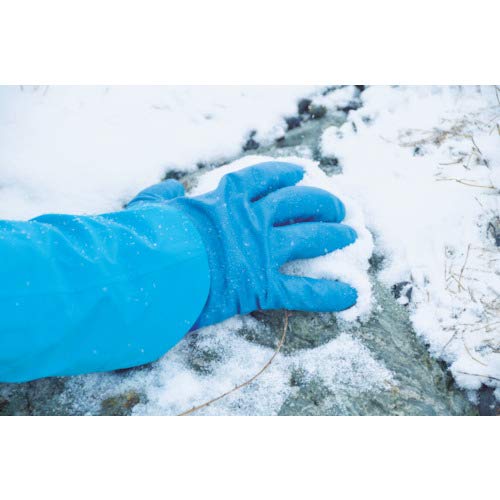 SHOWAGLOVE Waterproof Winter Gloves No282, Boukan TEMLES、Japan Import (Medium)