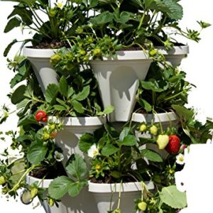 3 Tier Stackable Herb Garden Planter Set with Bottom Saucer - Stone Color - Vertical Container Pots for Herbs, Strawberries, Flowers