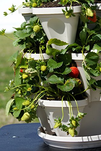 3 Tier Stackable Herb Garden Planter Set with Bottom Saucer - Stone Color - Vertical Container Pots for Herbs, Strawberries, Flowers