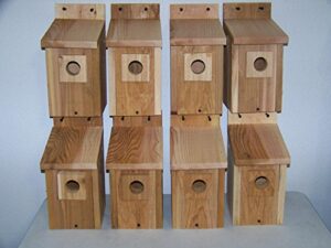 cedarnest bluebird houses 8