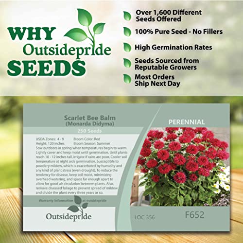 Outsidepride Red Monarda Didyma Bee Balm Flowers for Butterflies, Hummingbirds, & Pollinators - 250 Seeds