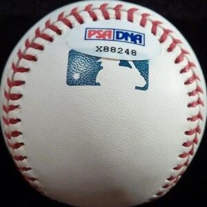 Cameron Maybin Signed Baseball PSA/DNA COA Yankees 2017 Astros Ball Autograph - Autographed Baseballs